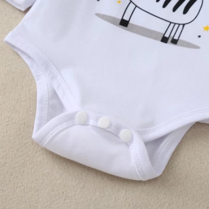 Baby Zebra Set 2612 - Image 3