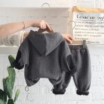 Bear Set Grey & Black 2226 - Image 2