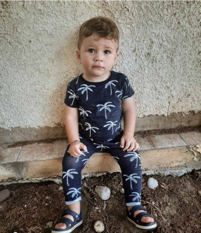 Palm Trees Set 2625 - Image 2