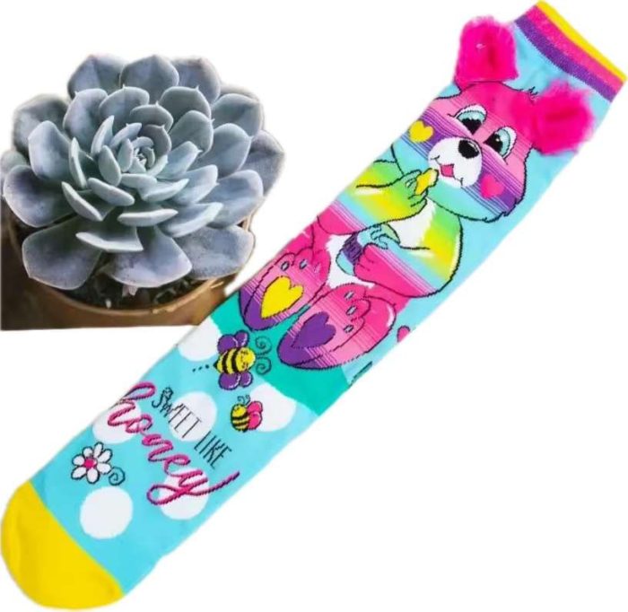 Happy Socks Bear 8433 - Image 1