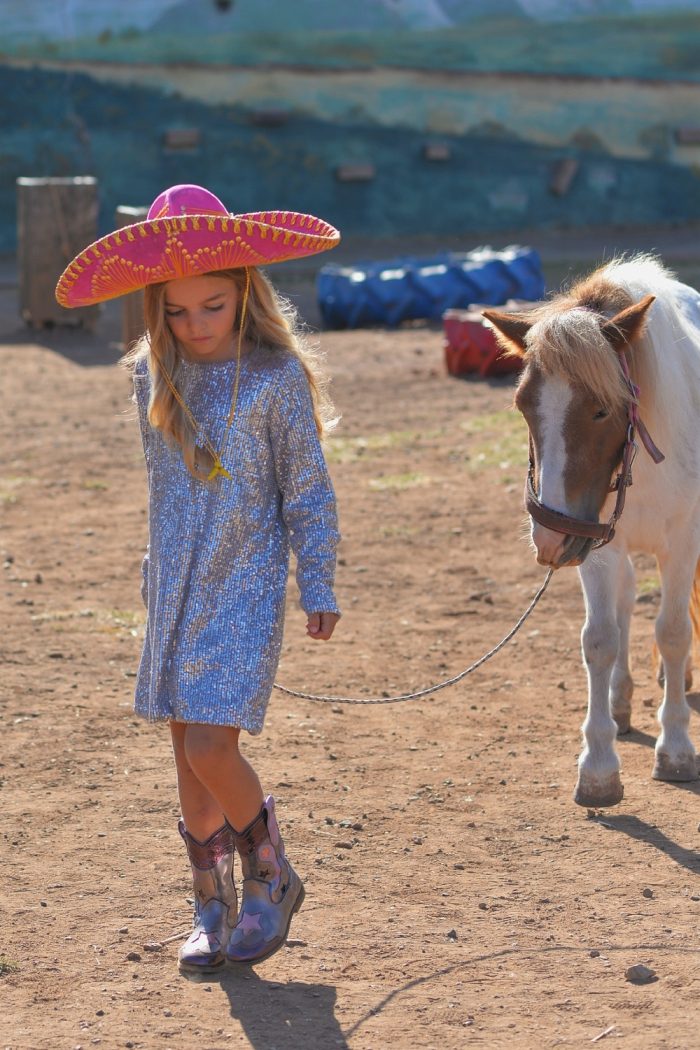 Silver Dress 5838 - Image 5