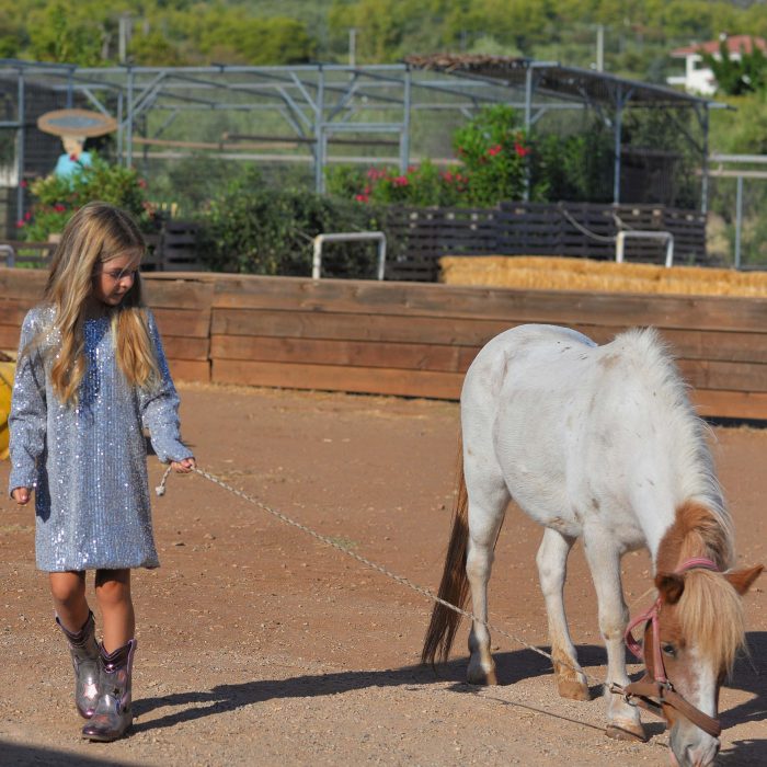 Silver Dress 5838 - Image 6