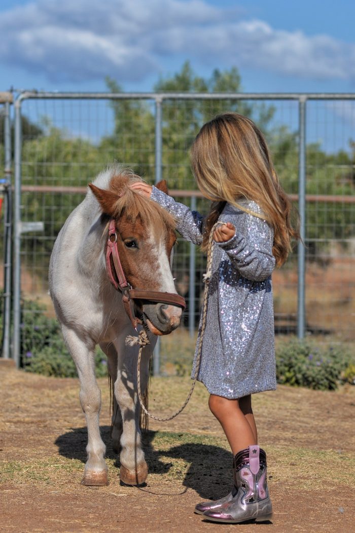 Silver Dress 5838 - Image 4