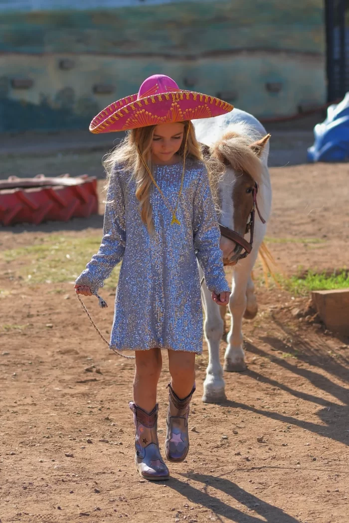 Silver Dress 5838 - Image 2